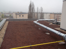 Toiture végétalisée